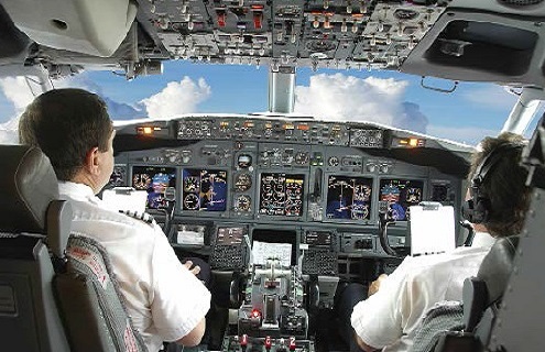 Human factors in aviation
